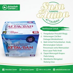 susu kambing etawa